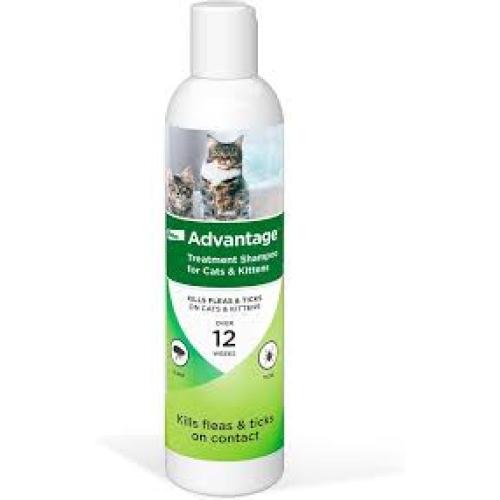 Elanco Advantage Flea & Tick Shampoo for Cats & Kittens 1ea/8 o