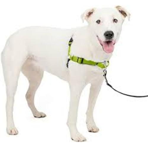 PetSafe Deluxe Easy Walk Steel Dog Harness Black/Rose, 1ea/SM