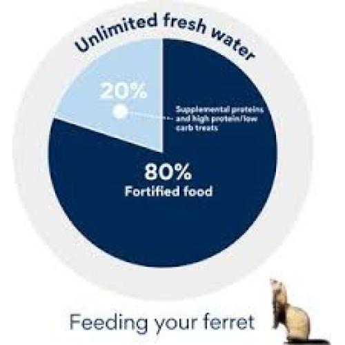 Oxbow Animal Healthy Essentials Natural Pellets Ferret Food, 4-lb bag