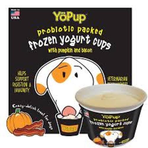 Frozen Yogurt Pumpkin & bacon Flavor Dog Treat 3.5 oz