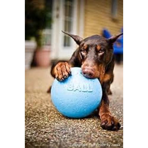 Jolly Pets Bounce-n-Play Dog Toy, Ocean Blue  8"