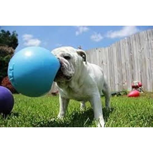 Jolly Pets Bounce-n-Play Dog Toy, Ocean Blue  8"