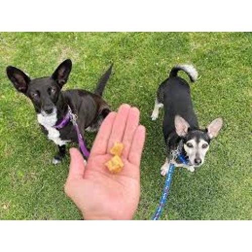 Redbarn All-Natural Air Dried Chicken Training Treats for Puppies & Dogs  8oz