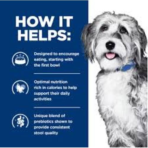 Hill's Prescription Diet ONC Care Dry Dog Food 6 lbs