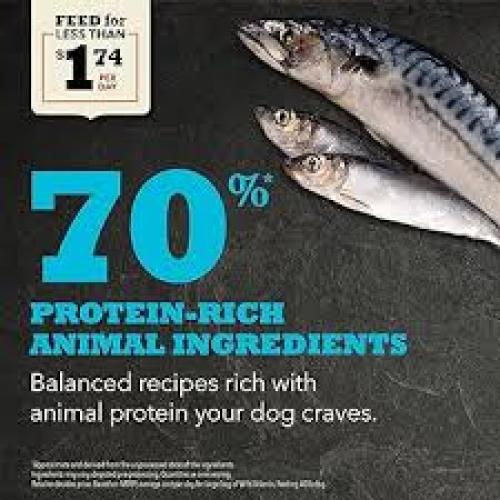 ACANA Wild Atlantic Grain-Free Dry Dog Food  High Protein 4.5 lbs