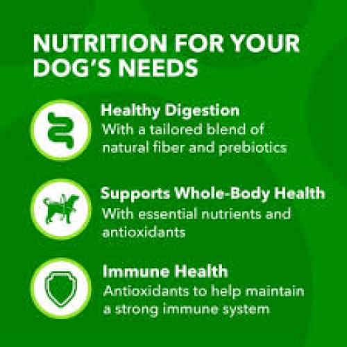 Iams Proactive Health Minichunks with Real Chicken & Whole Grains Dry Dog Food 7 lbs