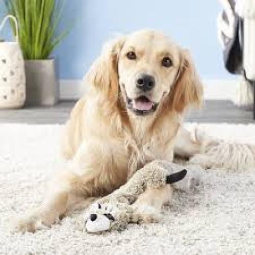 SPOT by Ethical Products Skinneeez - The Original Stuffless Dog Squeak Tug Toy Rabbit