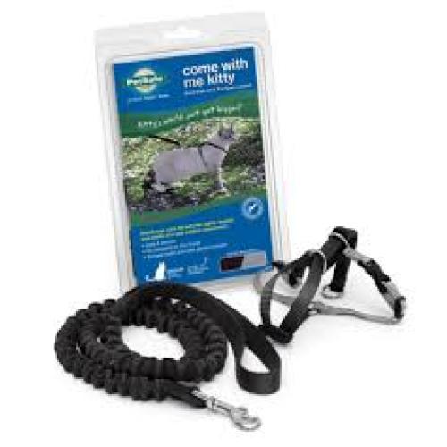 PetSafe Come with Me Kitty Harness and Bungee Leash, Harness for Cats, Medium Black/Silver