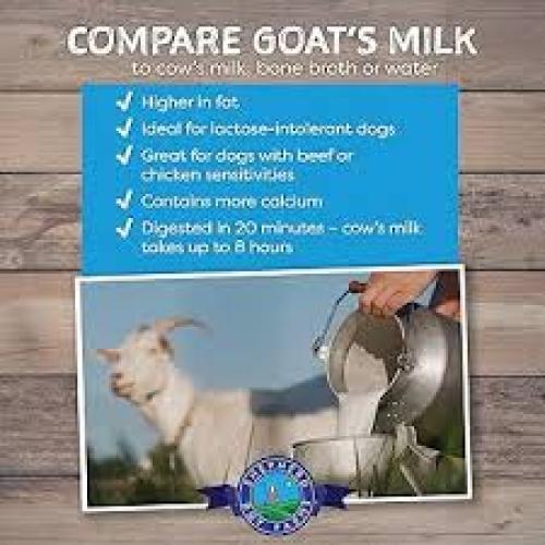 Shepherd Boy Farm FD Raw Goat Milk Super Greens Blend  16 fl oz