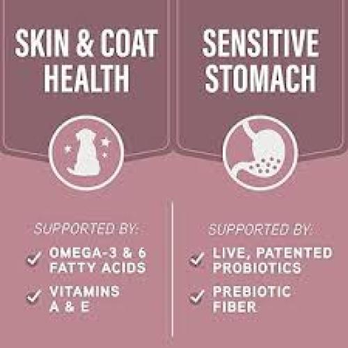 Natural Balance Specialized Skin & Stomach 22 #