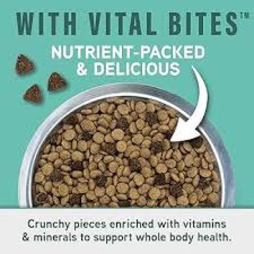 Natural Balance Specialized Nutrition Small Breed Digestive & Immune 12#