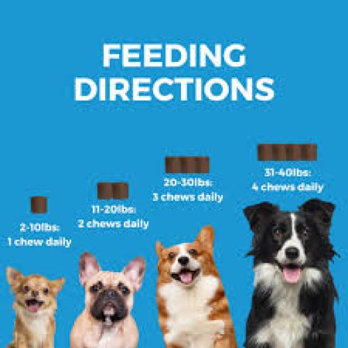 Nootie Progility Mini Skin & Coat Supplement 60 ct Nootie Progility Mini Skin & Coat Supplement 60 ct