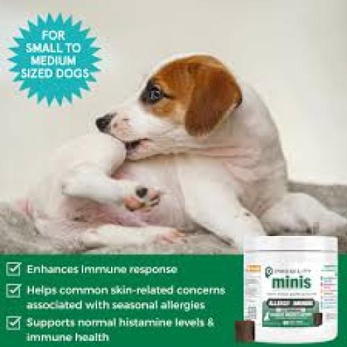 Nootie Progility Mini Allergy & Immune Supplement, 60 chews Nootie Progility Mini Allergy & Immune Supplement, 60 chews