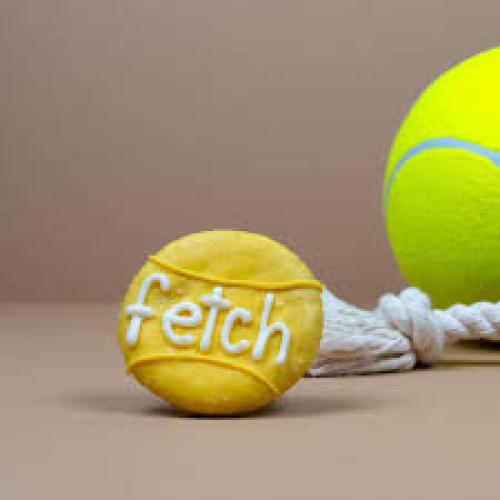 Epic Fetch Ball Cookie Bosco and Roxy's