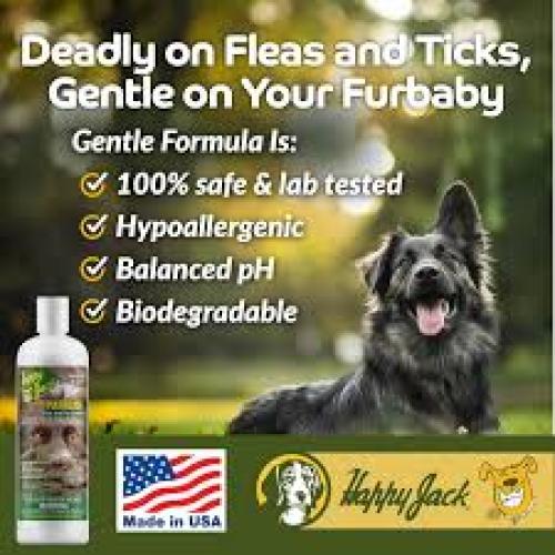 Happy Jack Paracide F&T Shampoo  8 fl oz