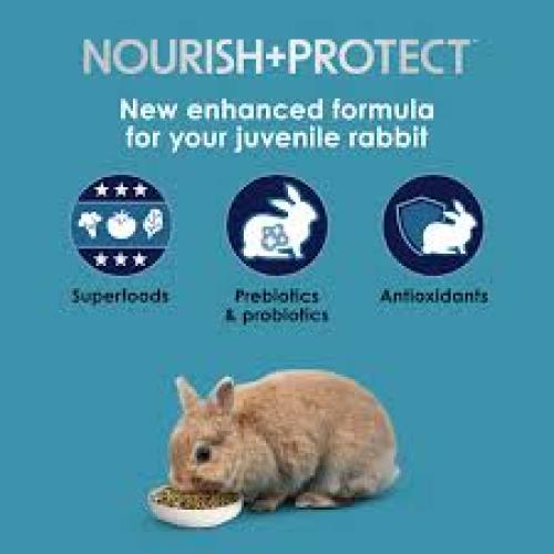 Kaytee FortiDiet Pro Health Rabbit Food 3#