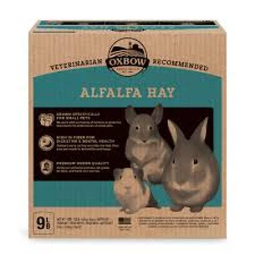 Oxbow Alfalfa Hay Small Animal Treat 9#