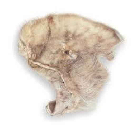 Momentum Hairy  Pig Ear FD Natural  - 1 ct