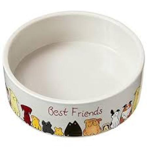 Spot Best Friends Dog Dish 5 in
