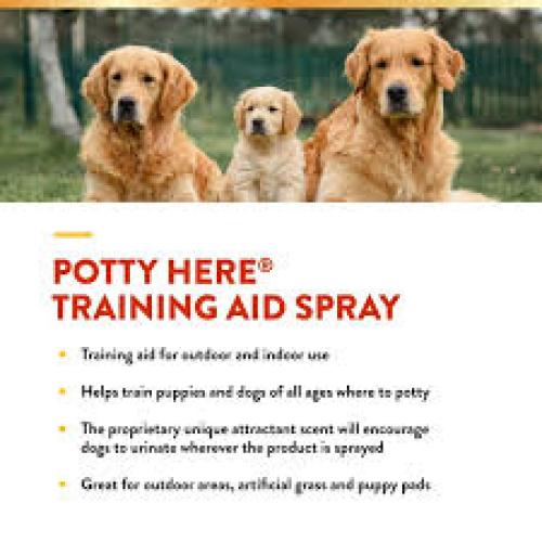 NaturVet Potty Here Training Aid Spray 8oz