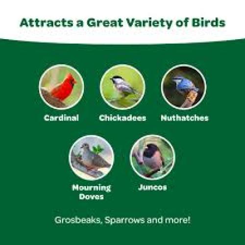 Kaytee Wild Bird Food  with 2x Sunflower 5#