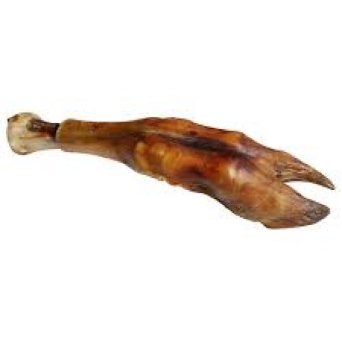 QT Dog Water Buffalo Trotter Bone & Foot  - 1 ct
