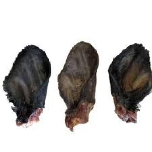 QT Dog Water Buffalo Ears with Hair 1ct