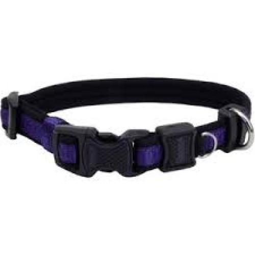 Coastal Inspire Dog Collar LG -  Purple