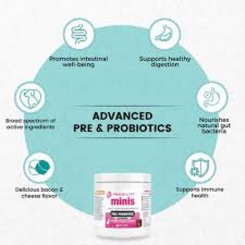 Nootie Progility MINIS PRE & PROBIOTIC Soft Chews 60 ct