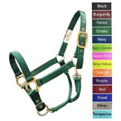 ECONO HALTER 5-80Q SMALL LIME GREEN