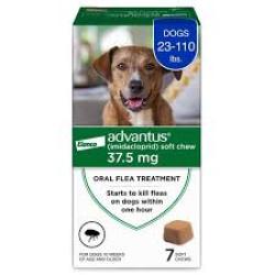 Elanco Advantus Chewable Flea Treatment for Dogs 7ct, 1ea/LG Dogs (23-110 Lbs)