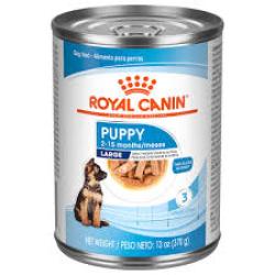 Royal Canin Size Health Nutrition Large Thin Slices in Gravy Wet Puppy Food, 13 oz.