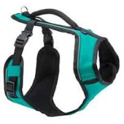 EasySport Comfortable Dog Teal Harness