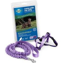 PetSafe Come with Me Kitty Harness and Bungee Leash, Harness for Cats, Medium LILAC/PURPLE