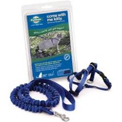 PetSafe Come with Me Kitty Harness and Bungee Leash, Harness for Cats, Smalll Royal Blue/Navy