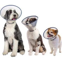Elizabethan Collar - LG (30cm)