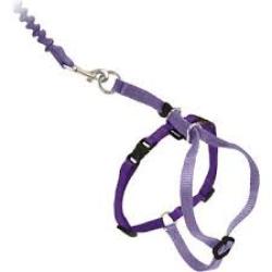 PetSafe Come with Me Kitty Harness and Bungee Leash, Harness for Cats, Large Lilac/Purple
