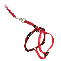PetSafe Come with Me Kitty Harness and Bungee Leash, Harness for Cats, Large Red/Cranberry