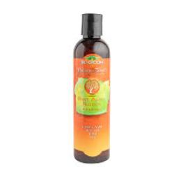 Bio Groom Desert Agave Blossom Shampoo 1ea/8 oz