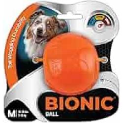 BIONIC Ball Dog Toy, Medium
