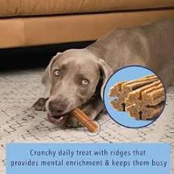 Angels’ Eyes Sea Sticks Multi-Benefit Daily Dog Treats LG - 1ct