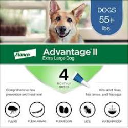Elanco Advantage II Topical Flea Treatment & Prevention for Dogs 4-Month Supply, 1ea/XL Dogs (Over