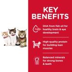 Hill's S.D. Kitten Dry Cat Food - Chicken Recipe