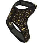 Coastal Accent Bright Black Galaxies