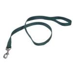 Nylon Hunter Green Leash