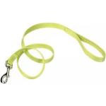 Nylon Lime Leash
