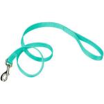 Nylon Teal Leash