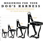 WolfGang Dog Harness