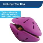 Busy Buddy Twist n Treat Toy