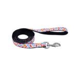 Coastal Dinosaur Leash